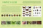 Hmyz v lese