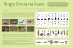 STOPY NA LOUCE A POLI