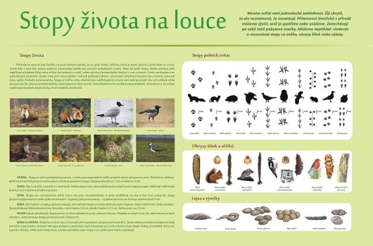 STOPY NA LOUCE A POLI