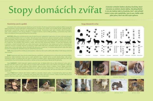 STOPY DOMÁCÍCH ZVÍŘAT