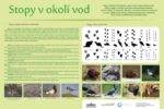 STOPY U VODY