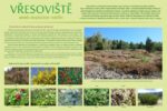 Vřesoviště