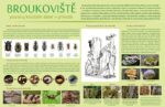 Broukoviště