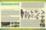 Broukoviště-ptáci