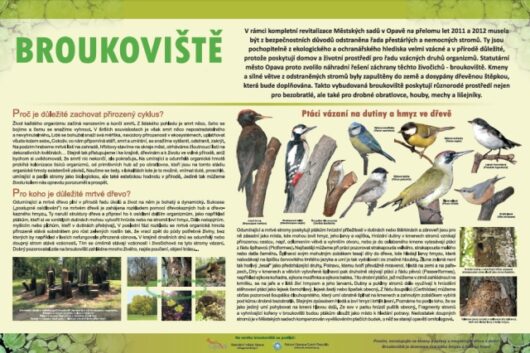 Broukoviště-ptáci