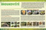 Broukoviště-houby
