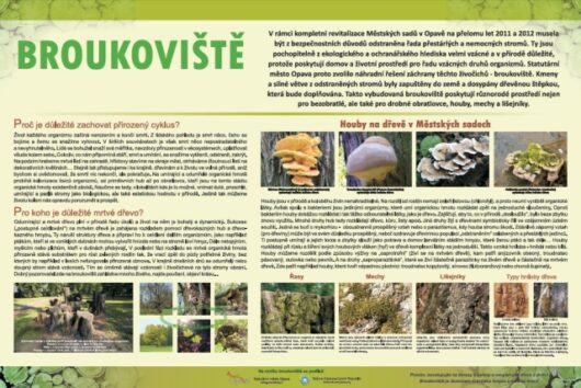 Broukoviště-houby