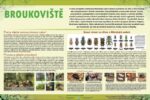 Broukoviště-brouci