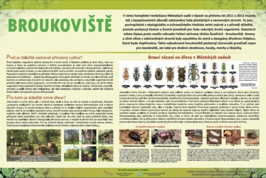Broukoviště-brouci